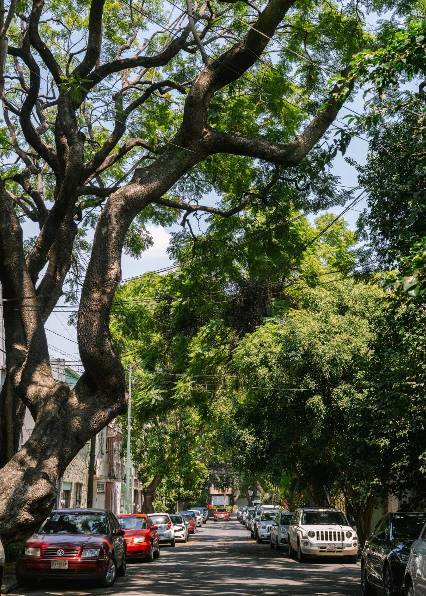 Sonder Miravalle เม็กซิโกซิตี้ ภายนอก รูปภาพ
